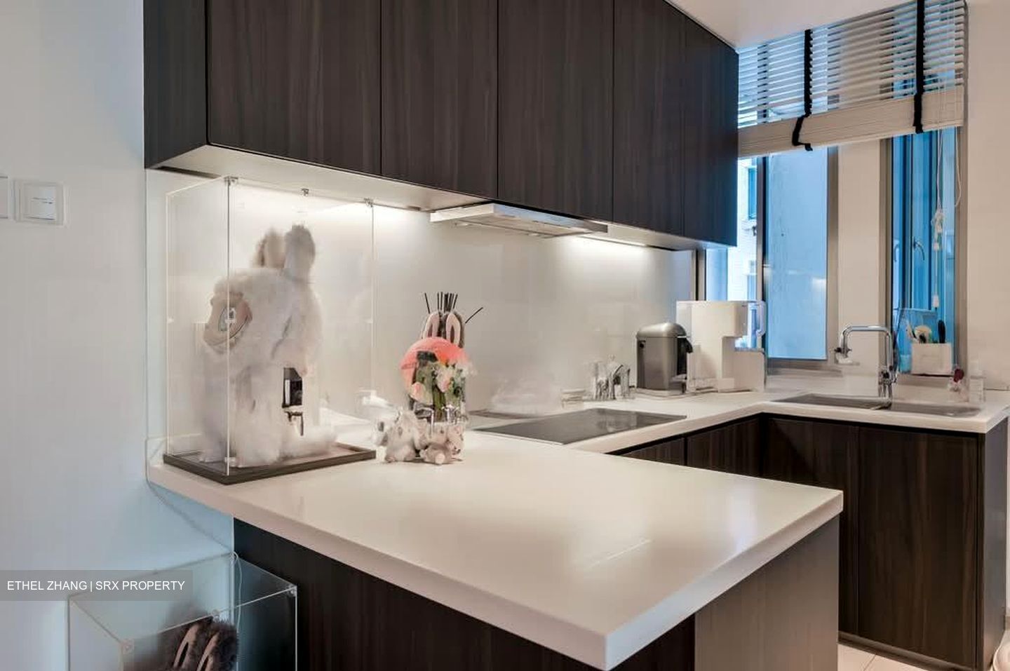 Cairnhill Crest (D9), Condominium #528469881